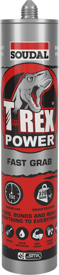 T-Rex Fast Grab Quick Silver 290ml - Box x12 Tubes